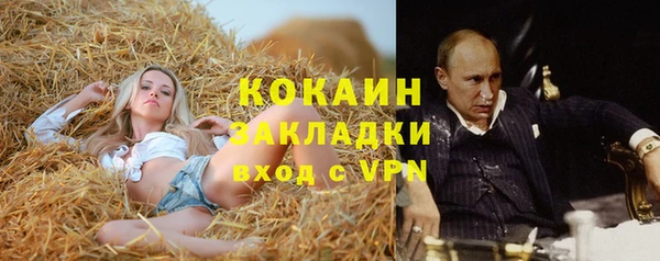 мдпв Горняк