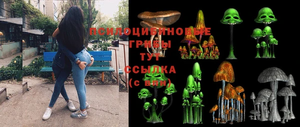 гидропоника Вязьма
