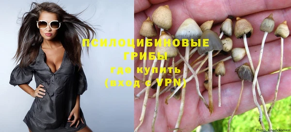 трава Горно-Алтайск