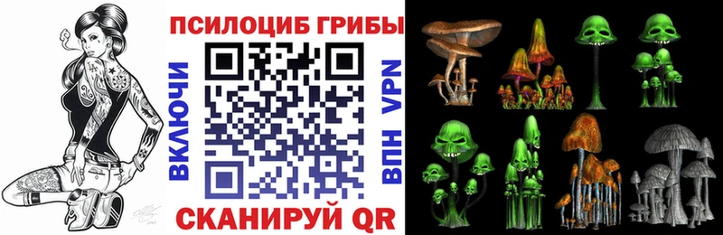 Галлюциногенные грибы GOLDEN TEACHER Курганинск