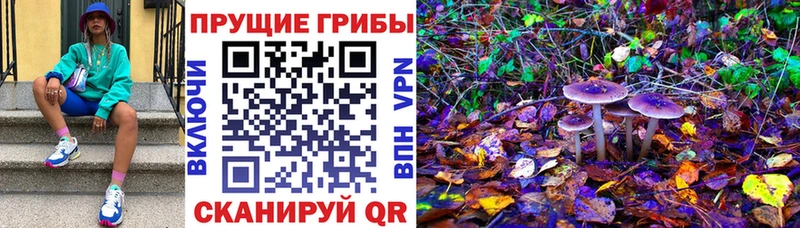 Галлюциногенные грибы мицелий  Купить закладки  Курганинск 